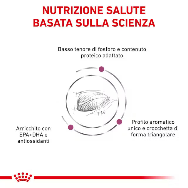 Royal Canin Feline Renal Special 400g Royal Canin Feline Renal Special 400g